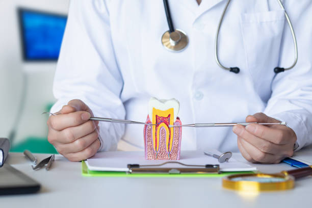 Best Emergency Dental Care for Abscessed Tooth in Lumberton, NC